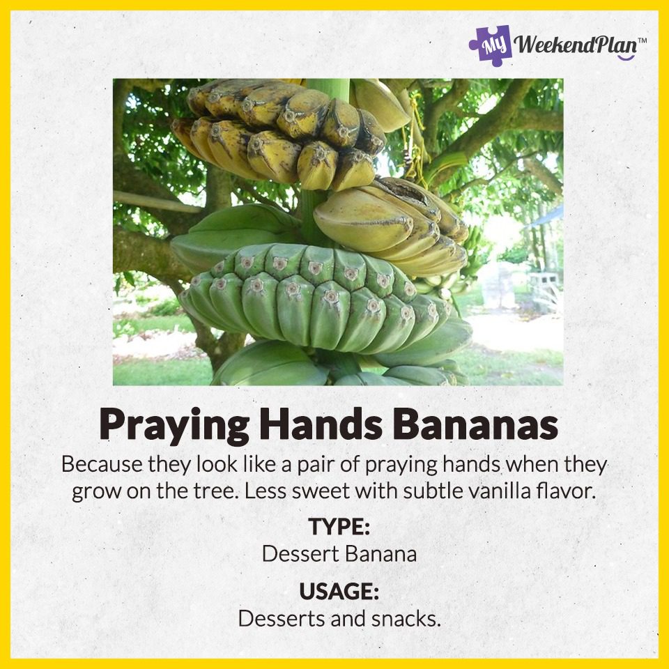 Praying Hands Bananas