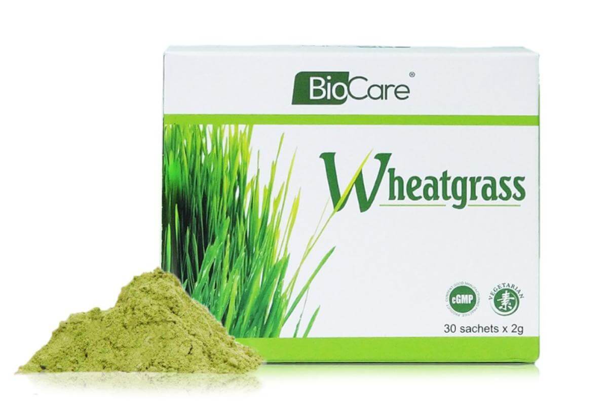 Top 10 Best Wheatgrass Powder in Malaysia 2022 Amazing Benefits