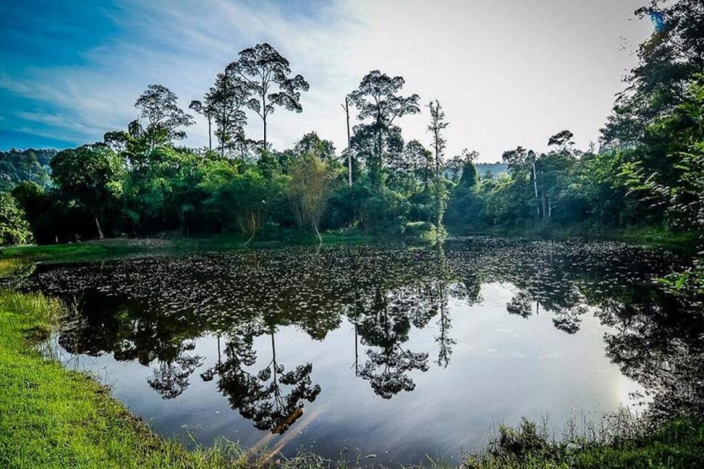 Be Close To Nature at Shah Alam National Botanical Park