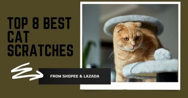 Top Best Cat Scratchers in Malaysia