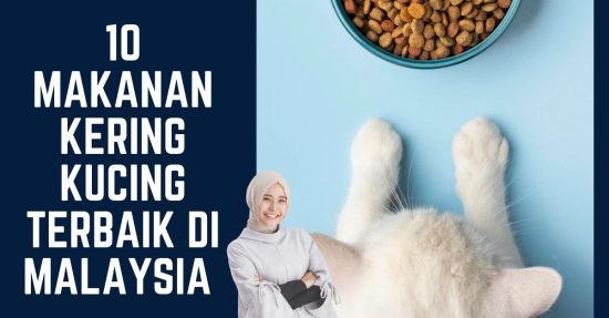 Makanan Kering Kucing Terbaik di Malaysia