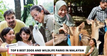 TOP BEST ZOOS AND WILDLIFE PARKS IN MALAYSIA