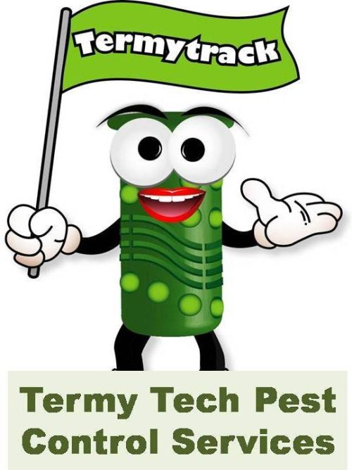10 Best Pest Control Services in KL & Selangor 2023 Pest Free
