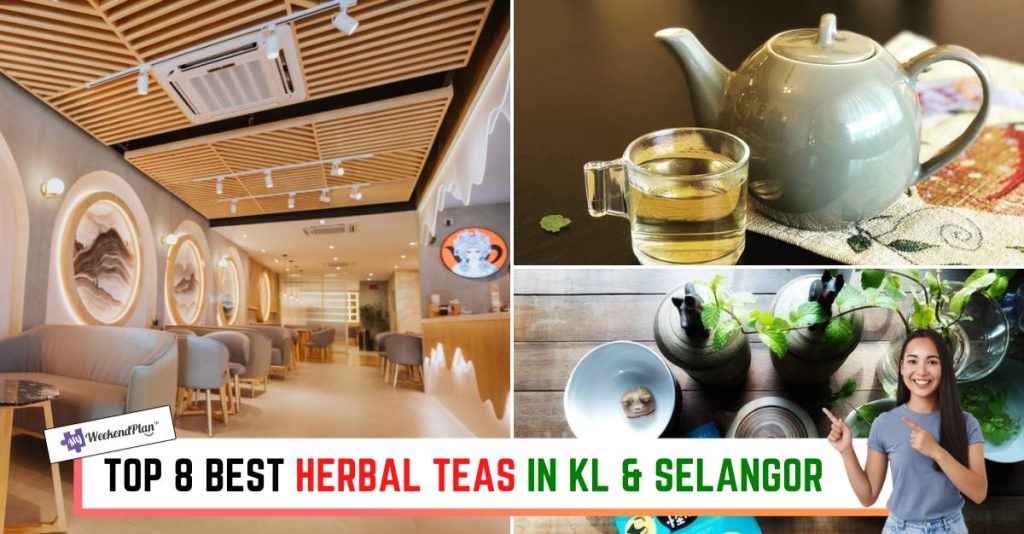 Top 8 Best Herbal Teas in KL & Selangor 2023 | Aromatic