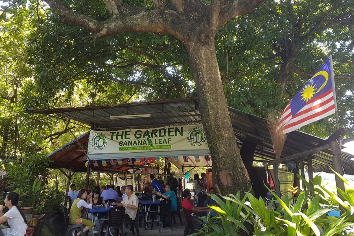 Top 8 Best Banana Leaf Rice In Penang 2023 Savoury Delights