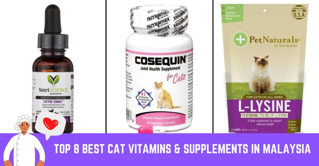 Top 8 Best Cat Vitamins & Supplements in Malaysia Updated 2023