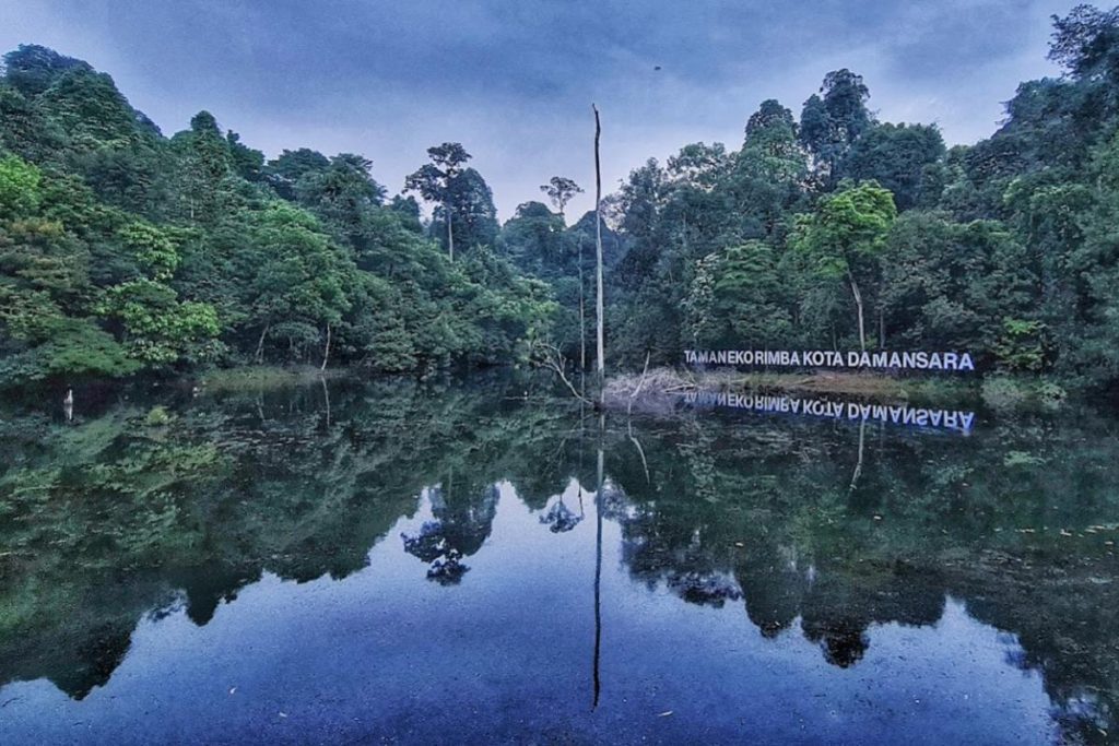 Kota-Damansara-Community-Forest-Reserve