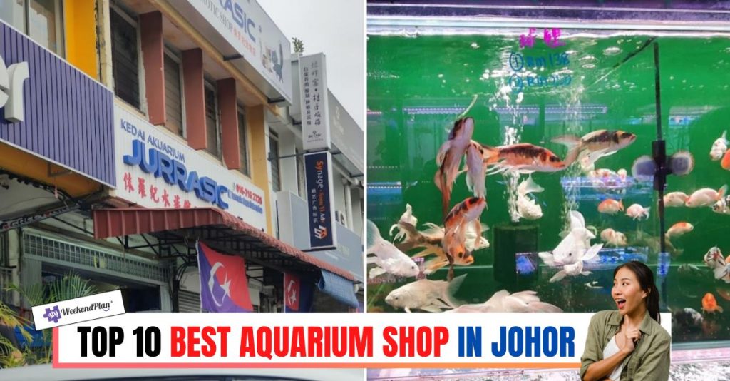 10 Best Aquarium Shop in Johor 2023 Fish Haven
