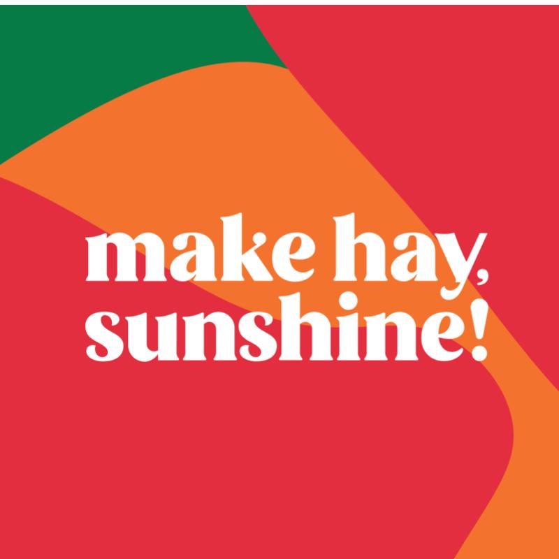Make-Hay-Sunshine