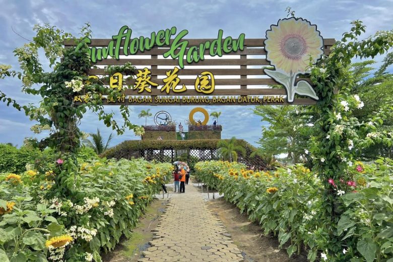 Top 10 Best Things To Do Near Teluk Intan 2023 Have A Trip